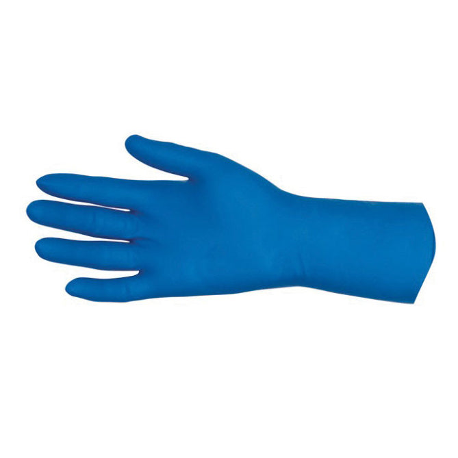 Blue Securitex HR Latex Examination Glove– BC Coatings